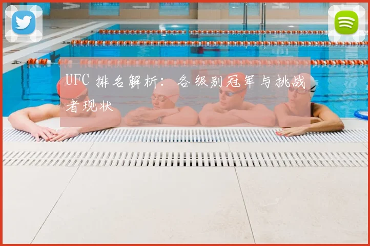 UFC 排名解析：各级别冠军与挑战者现状