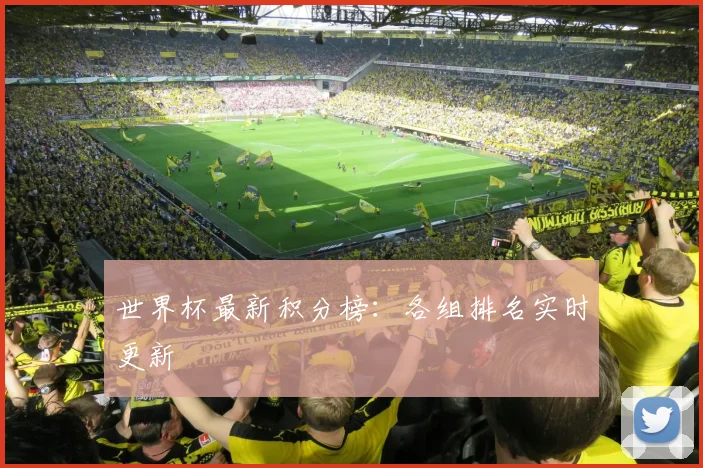 世界杯最新积分榜：各组排名实时更新